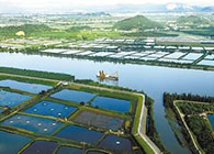 汪博士受邀至珠海市水產(chǎn)研究所進行學術交流