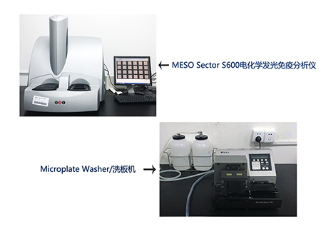 美迪西電化學(xué)發(fā)光免疫分析儀和全自動洗板機