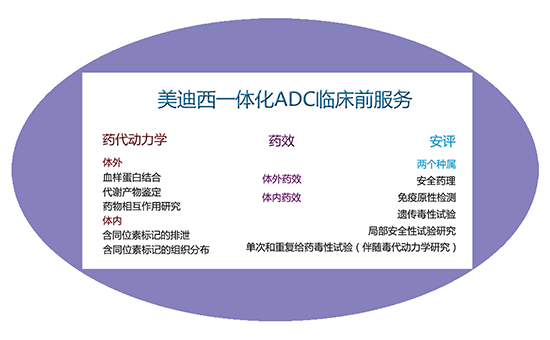 美迪西一體化ADC臨床前服務(wù)
