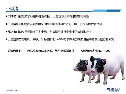 皮膚涂抹試驗中，受試動物選擇小型豬更好