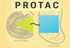 熱點前沿:PROTAC初露鋒芒，SD-36對抗腫瘤效果卓越