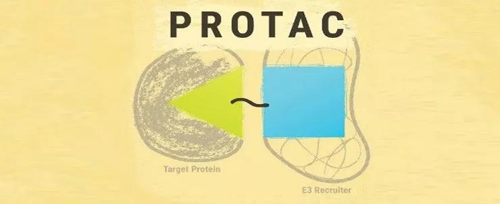 PROTAC藥物組成的簡(jiǎn)單示意圖