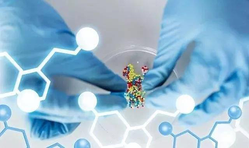 2019，美迪西一站式助力10個IND申報項目獲得臨床批件