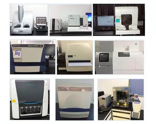 美迪西生物技術(shù)藥物分析部門擁有SpectraMaxM4/M5/i3x, MSD, Luminex, Biacore 8K, Envision, Gyrolab，ABI7500 qPCR等全方位多功能的技術(shù)平臺，利用LIMS系統(tǒng)實施全面的實驗室信息化管理，提供全面符合FDA/CFDA/OECD GLP規(guī)范要求的生物技術(shù)藥物分析服務(wù)。