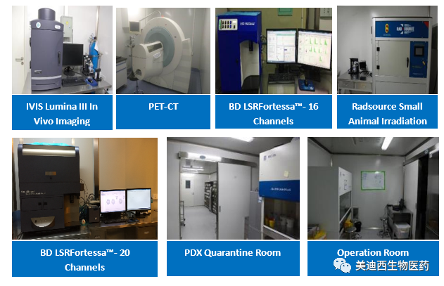 美迪西藥理部擁有IVIS Lumina III, PET-CT, BD LSRFortessa-16, Flow Cytometry等儀器,提供符合申報(bào),支持臨床試驗(yàn)的藥效評價(jià)服務(wù)。