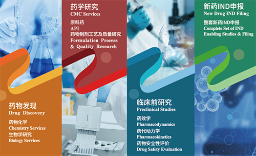 美迪西藥物發(fā)現(xiàn)、藥學(xué)研究、臨床前研究、新藥IND申報(bào)