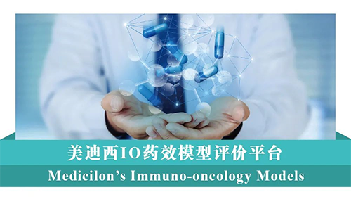美迪西IO藥效模型評價(jià)平臺
