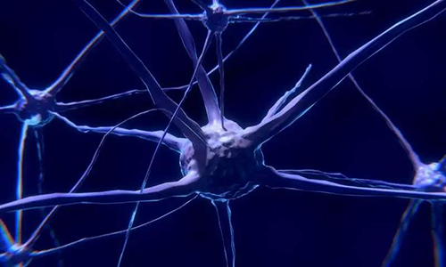 研究首次表明，與年齡有關(guān)的認(rèn)知喪失可能主要是由一種可逆的生理性“阻滯”而不是永久性的降解引起的。