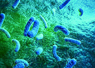 【Nature】無(wú)懼細(xì)菌耐藥性的新型抗生素誕生了！