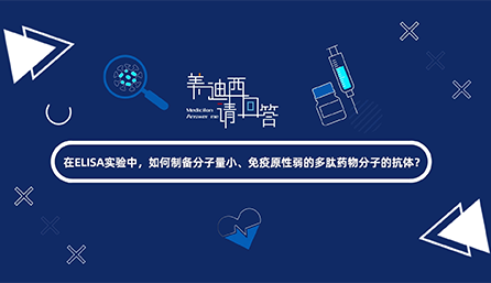 在ELISA實(shí)驗(yàn)，如何制備分子量小、免疫原性弱的多肽藥物分子的抗體？