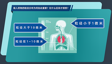 吸入藥物的粒徑分布為何如此重要？在什么區(qū)間才理想？