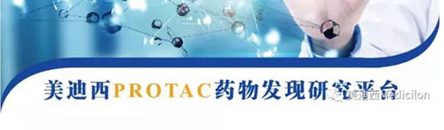 美迪西PROTAC藥物發(fā)現(xiàn)平臺.png 美迪西PROTAC藥物發(fā)現(xiàn)平臺.png