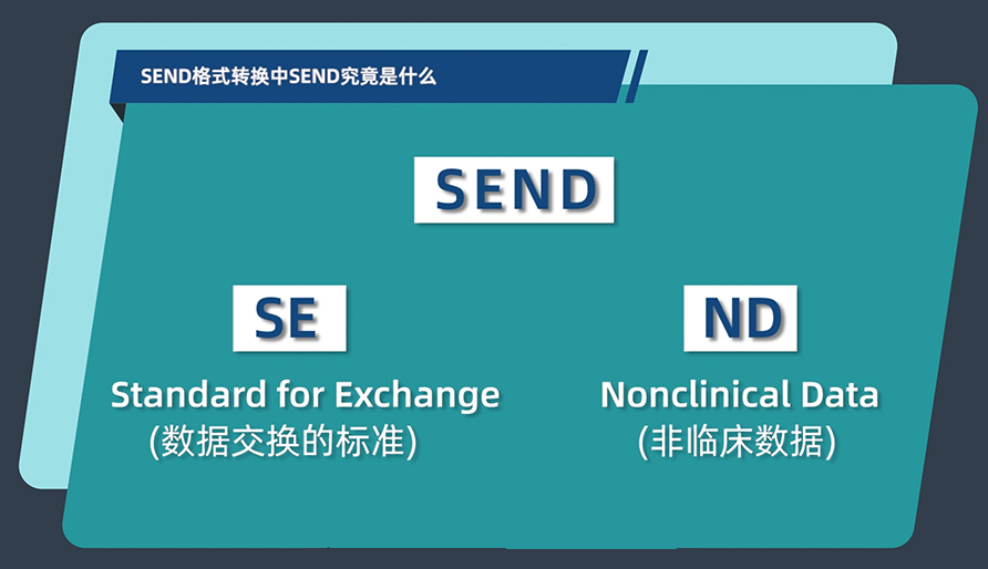 SEND格式轉(zhuǎn)換中的SEND究竟是什么？
