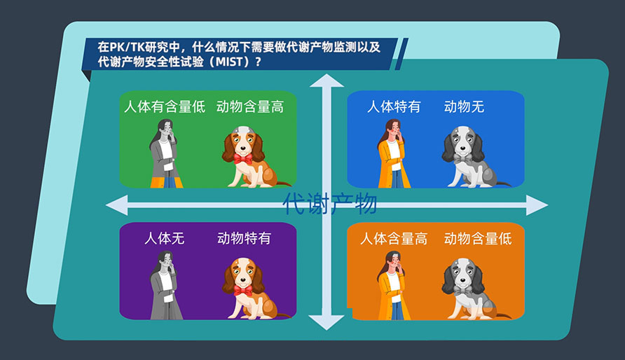 在PK-TK研究中，什么情況下需要做代謝產(chǎn)物監(jiān)測(cè)以及代謝產(chǎn)物安全性試驗(yàn)（MIST）