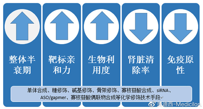 化學(xué)修飾技術(shù)對核酸藥物影響.jpg
