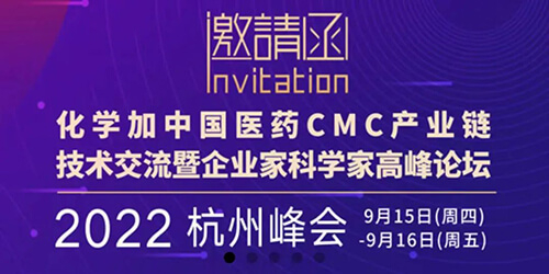 8-化學家中國醫(yī)藥CMC產(chǎn)業(yè)鏈.jpg