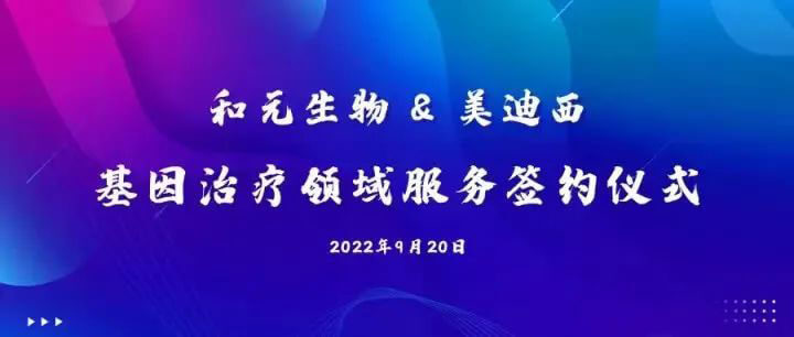 和元生物與美迪西基因治療領(lǐng)域服務簽約儀式.jpg 和元生物與美迪西基因治療領(lǐng)域服務簽約儀式.jpg