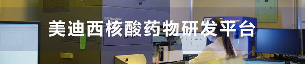 美迪西核酸藥物研發(fā)平臺(tái)-1.jpg