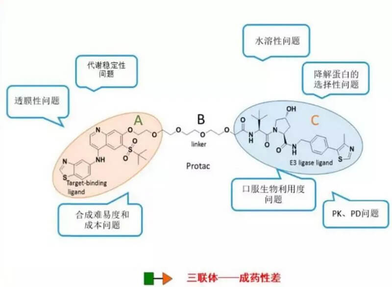 PROTAC分子量較大，溶解性較差.jpg