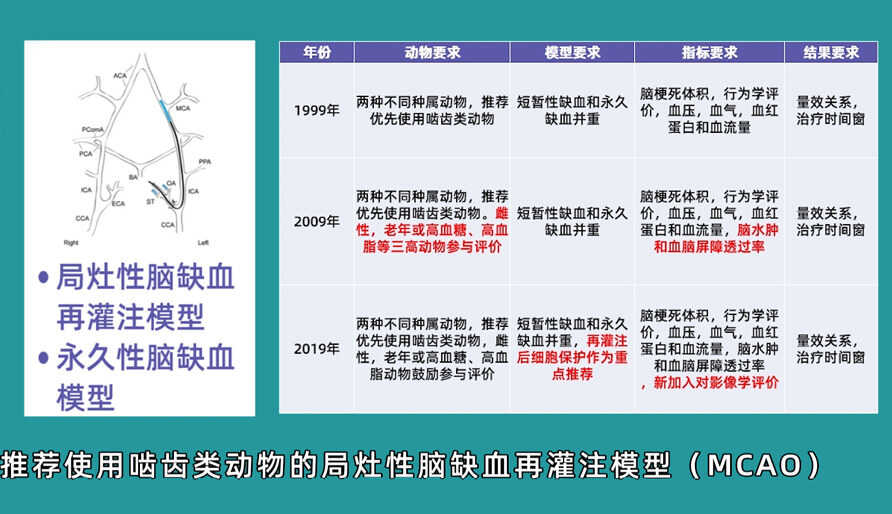 袁云云博士：嚙齒類動(dòng)物腦卒中疾病藥效成藥性評(píng)價(jià)系統(tǒng)（2）.jpg