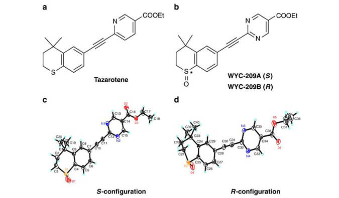 WYC-209可抑制惡性小鼠黑色素瘤腫瘤再生細(xì)胞增殖，本研究中SPR通過美迪西使用Biacore 8K進(jìn)行