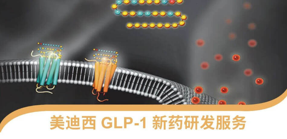 “GLP-1”新藥研發(fā)服務平臺.jpg