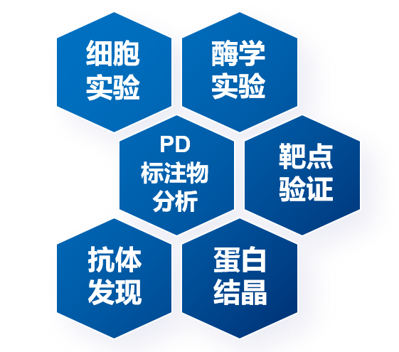 生物服務內(nèi)容.jpg