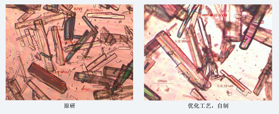 04案例分享-結(jié)晶工藝開發(fā)（制備結(jié)晶態(tài)）.jpg