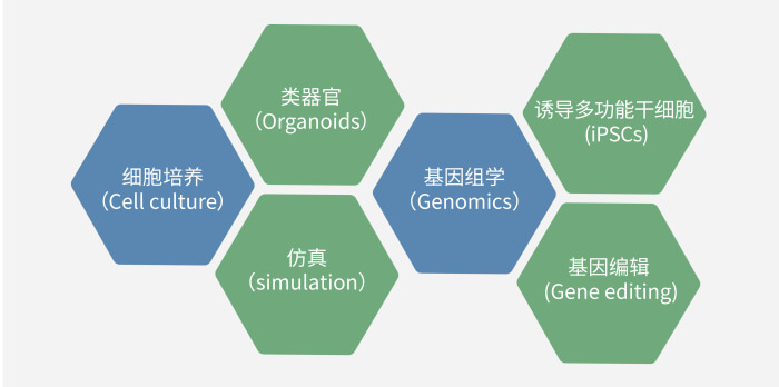 六大技術(shù)板塊已上線，持續(xù)升級(jí)中.jpg