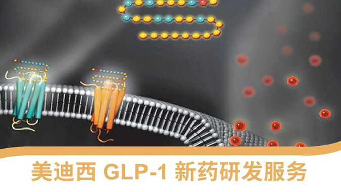 “GLP-1”新藥研發(fā)服務平臺 “GLP-1”新藥研發(fā)服務平臺