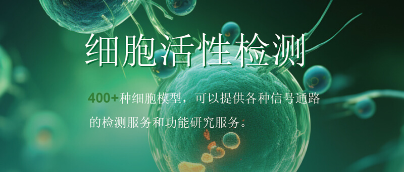美迪西細(xì)胞活性檢測.jpg