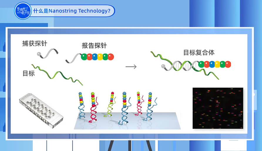 什么是Nanostring 技術？