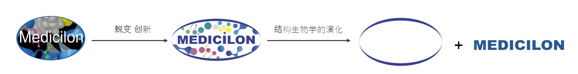 橢圓形作為自然界的完美形態(tài)，象征著美迪西在適應(yīng)環(huán)境變化中不斷演化