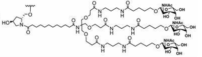 GalNAc的目標(biāo)是肝細(xì)胞上的ASGPR，可以通過(guò)內(nèi)吞作用被吸收-2.jpg