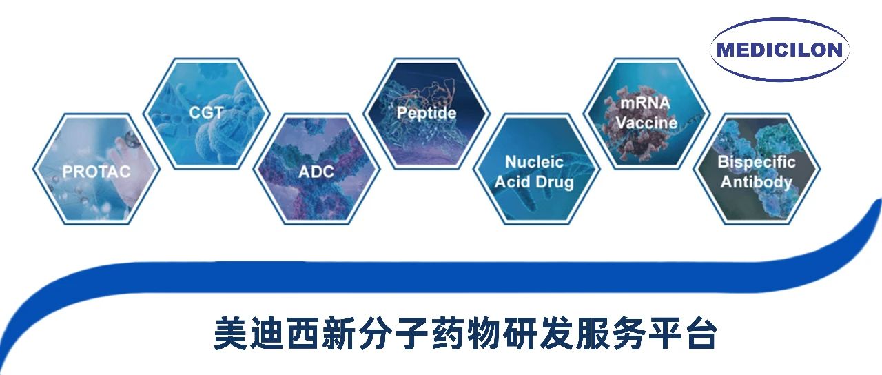 美迪西新分子類型藥物研發(fā)服務(wù)平臺(tái)