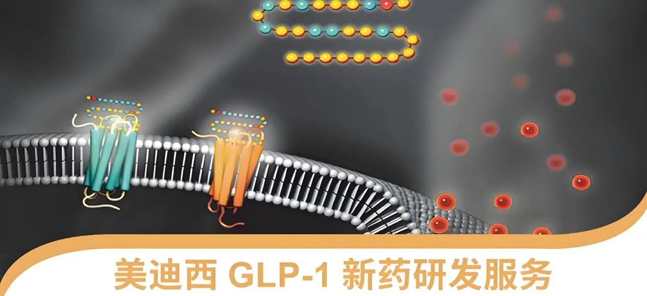 70.5%的成人正在悄悄長(zhǎng)胖！國(guó)家衛(wèi)健委“減肥令”下，GLP-1藥物如何突圍？
